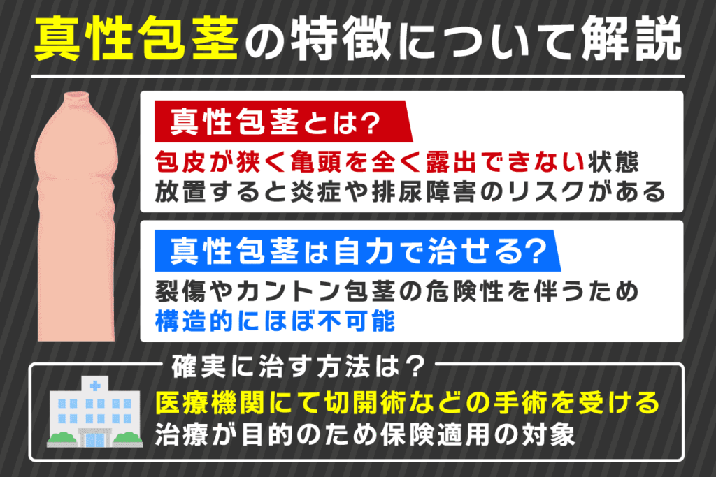 真性包茎の特徴について解説した画像